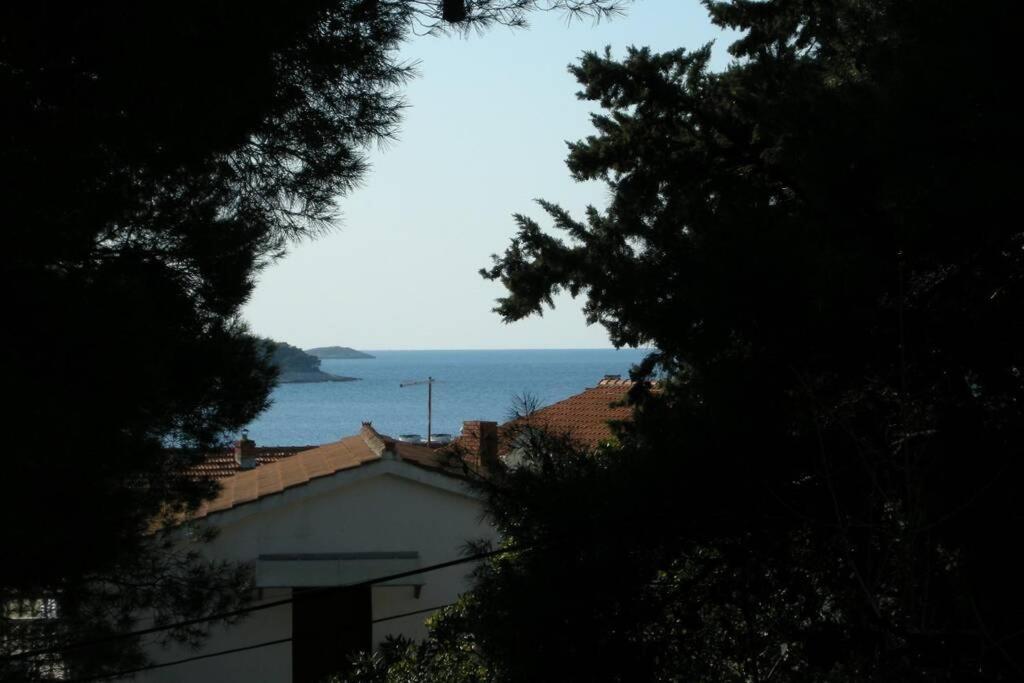 Whole Villa In Primosten Exterior photo